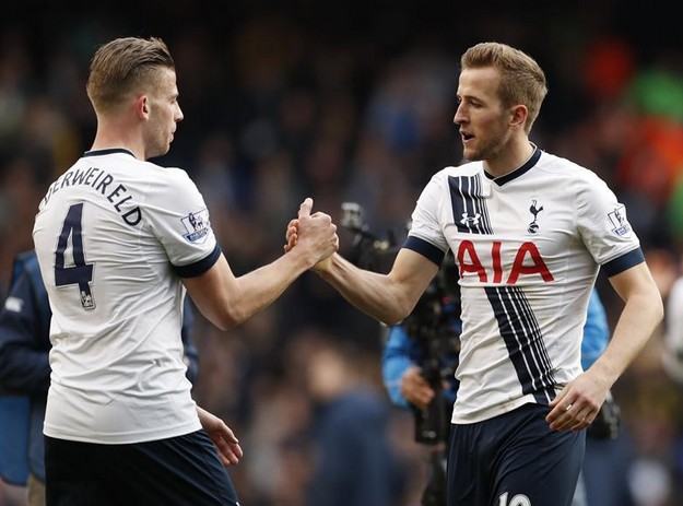 小蜘蛛在本 小蜘蛛在本