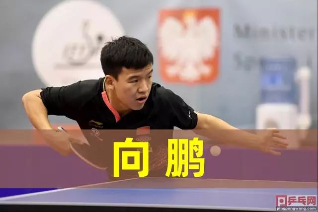 双2或一王 双2或一王